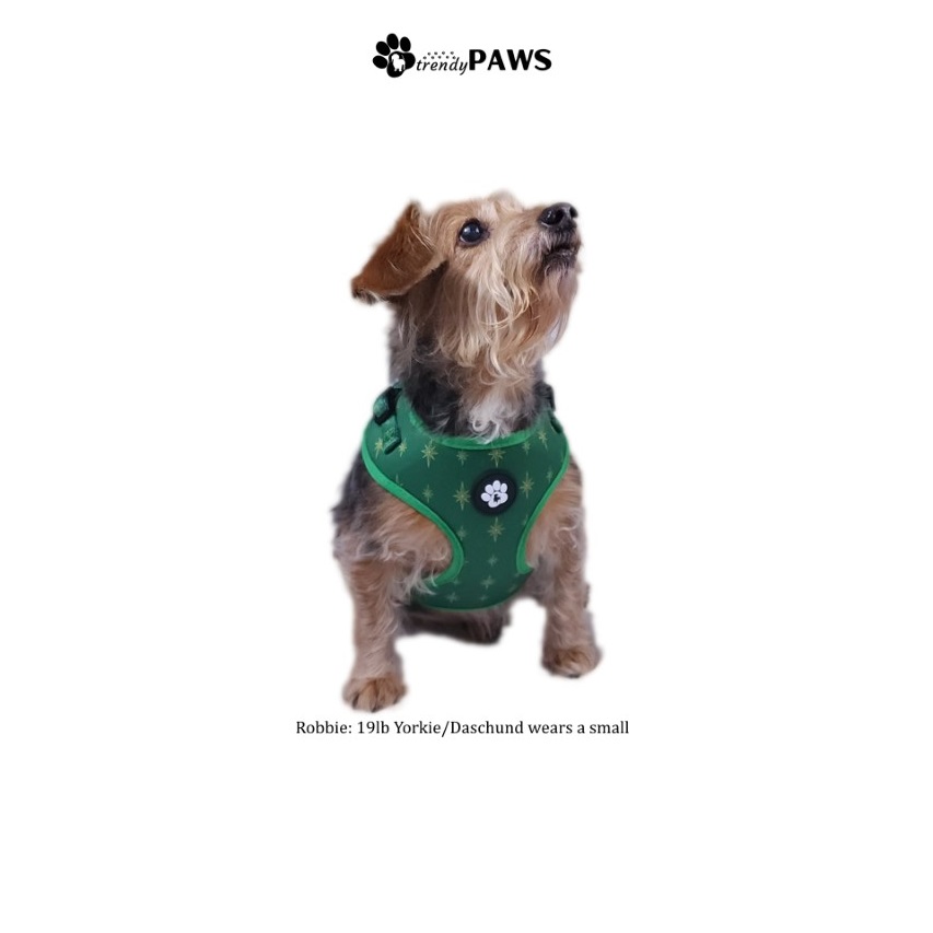 Dog Harness Collar and Leash - Image 11