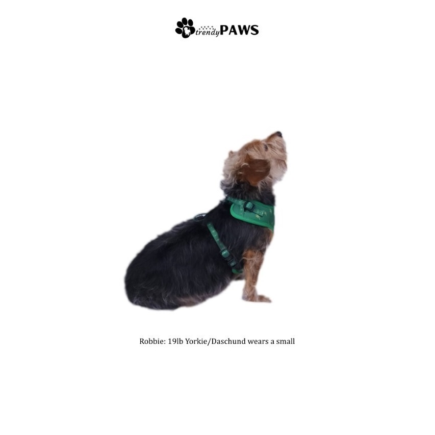 Dog Harness Collar and Leash - Image 12