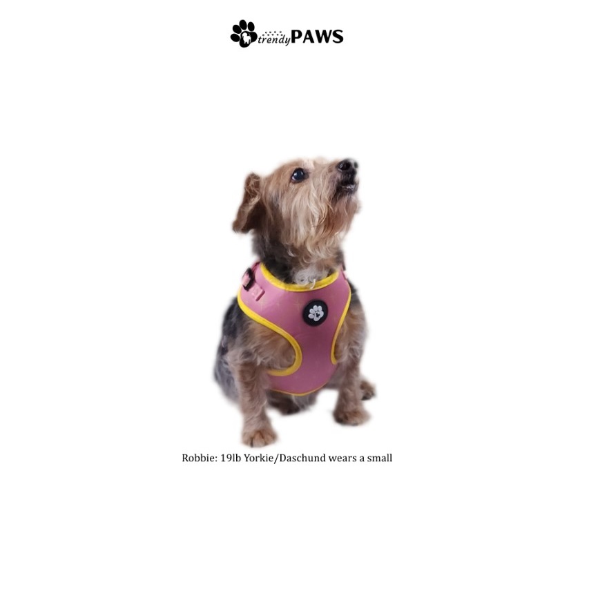 Dog Harness Collar and Leash - Image 7