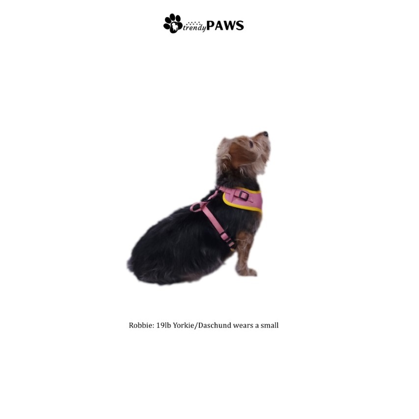 Dog Harness Collar and Leash - Image 8
